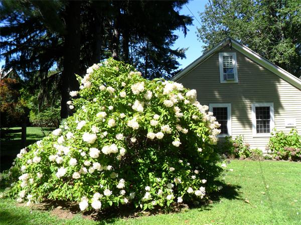 100 Bay Road Hadley, MA 01035 - Photo 8 of 29 Gallery Image 8