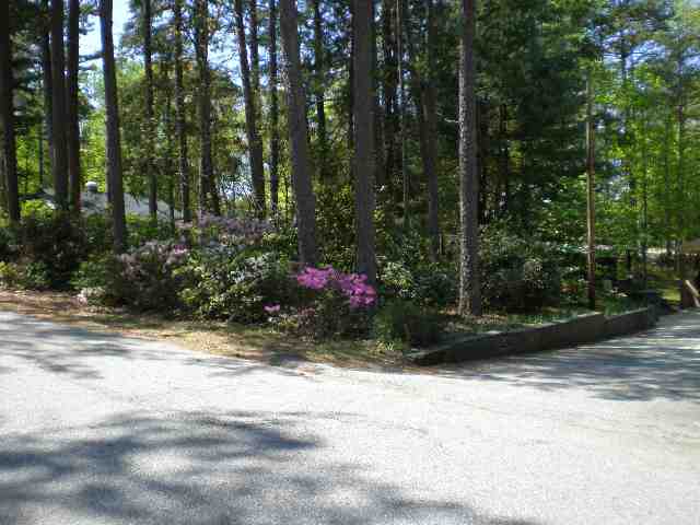 101 Hawthorne Lane Seneca, SC 29678 - Photo 2 of 21 Gallery Image 2