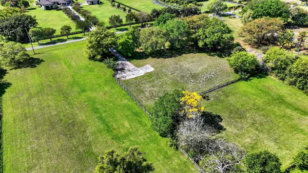 a view of a garden