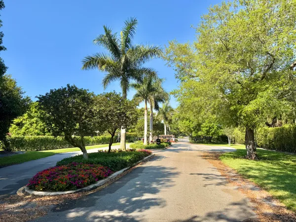 a view of a park with palm trees