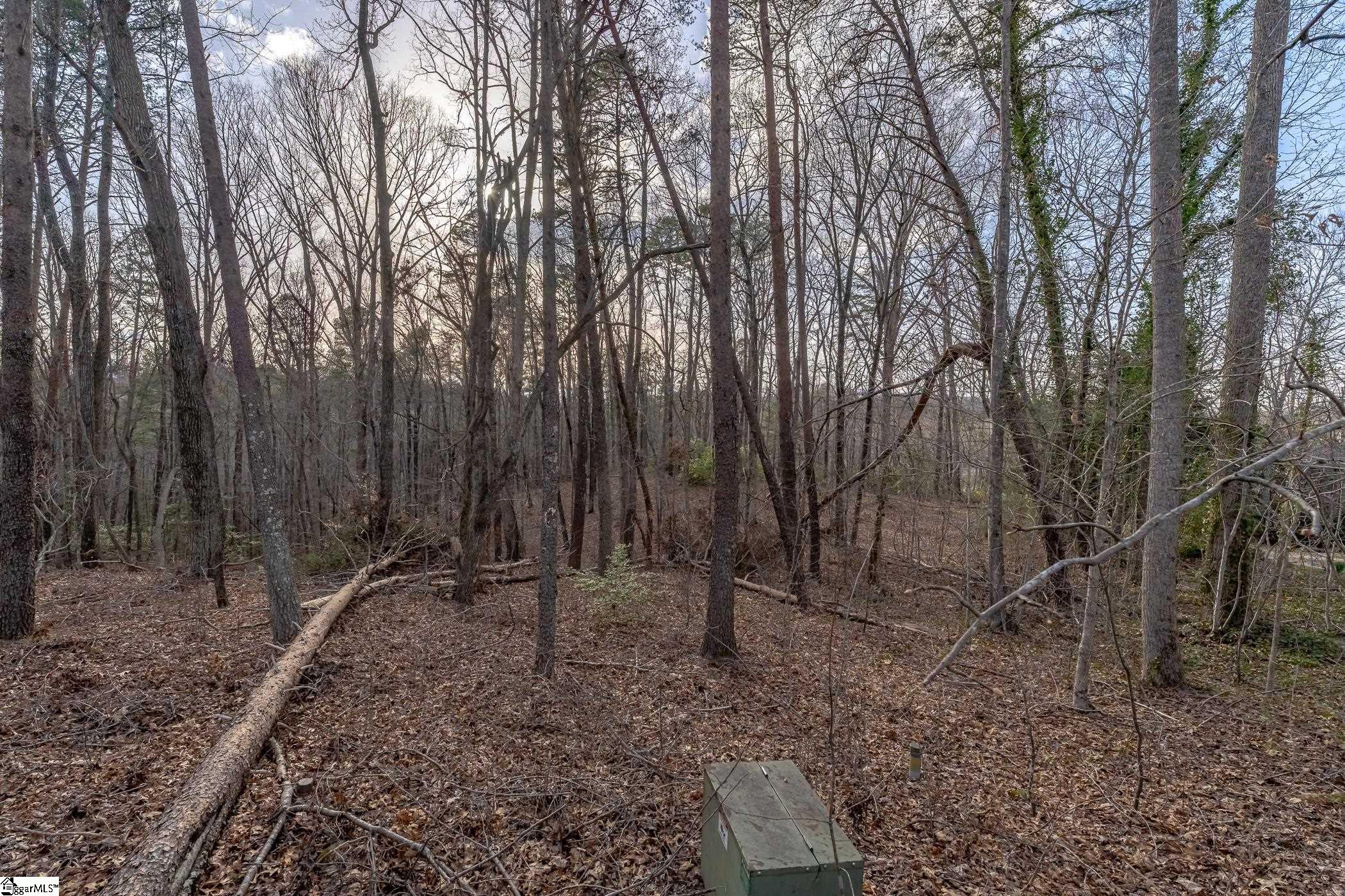 18 Rhone Valley Lane Travelers Rest, SC 29690 - Photo 4 of 8