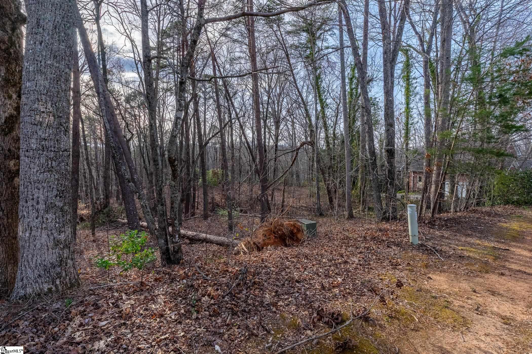 18 Rhone Valley Lane Travelers Rest, SC 29690 - Photo 5 of 8