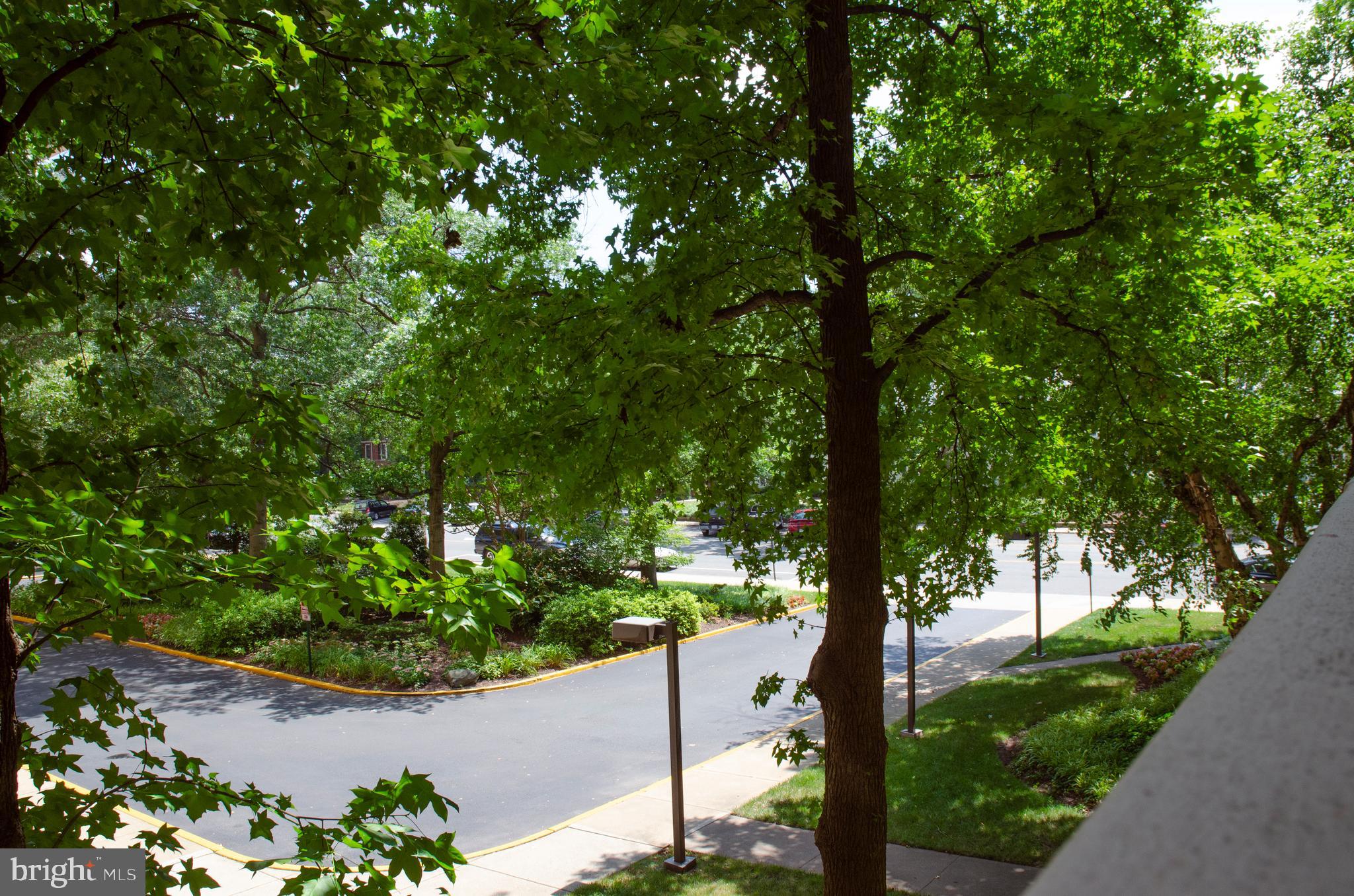 4141 North Henderson Road, Unit 104 Arlington, VA 22203 - Photo 17 of 32 View from balcony over looking front courtyard.