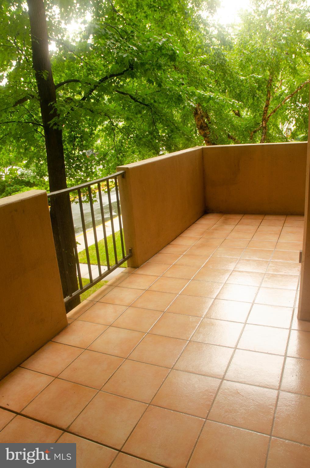 4141 North Henderson Road, Unit 104 Arlington, VA 22203 - Photo 18 of 32 Spacious balcony for entertaining.