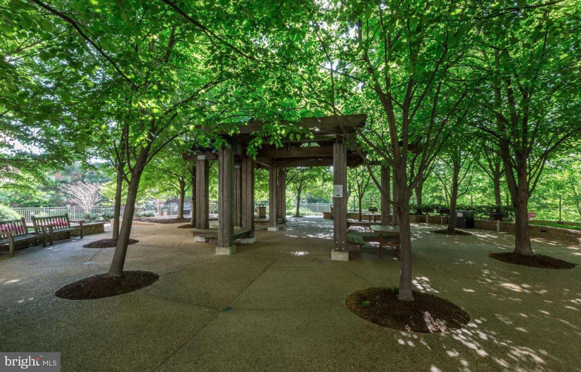 4141 North Henderson Road, Unit 104 Arlington, VA 22203 - Photo 20 of 32 Courtyard