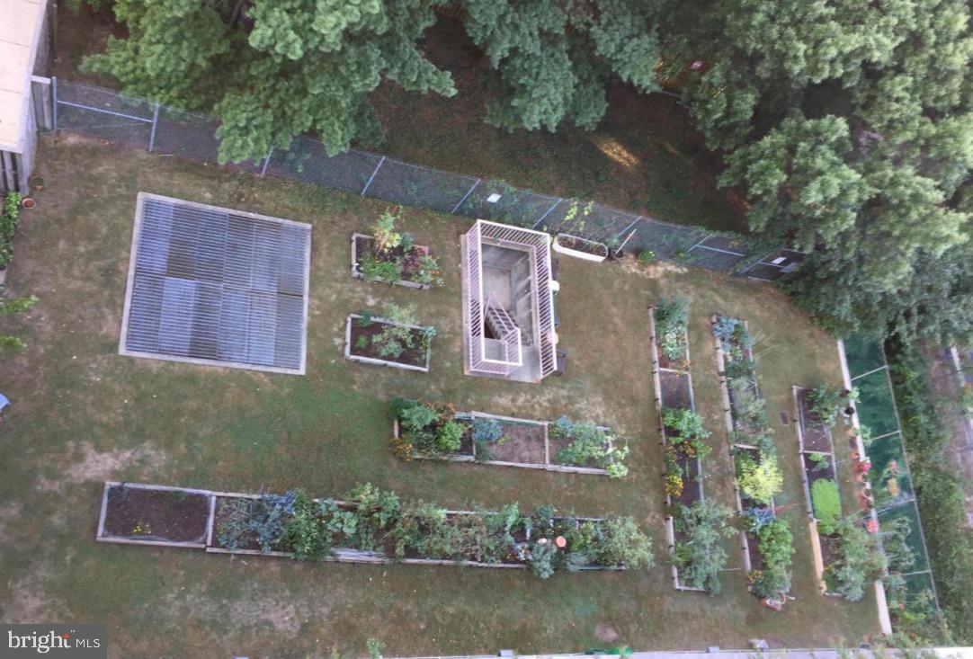 4141 North Henderson Road, Unit 104 Arlington, VA 22203 - Photo 22 of 32 Community garden/access to owners only!