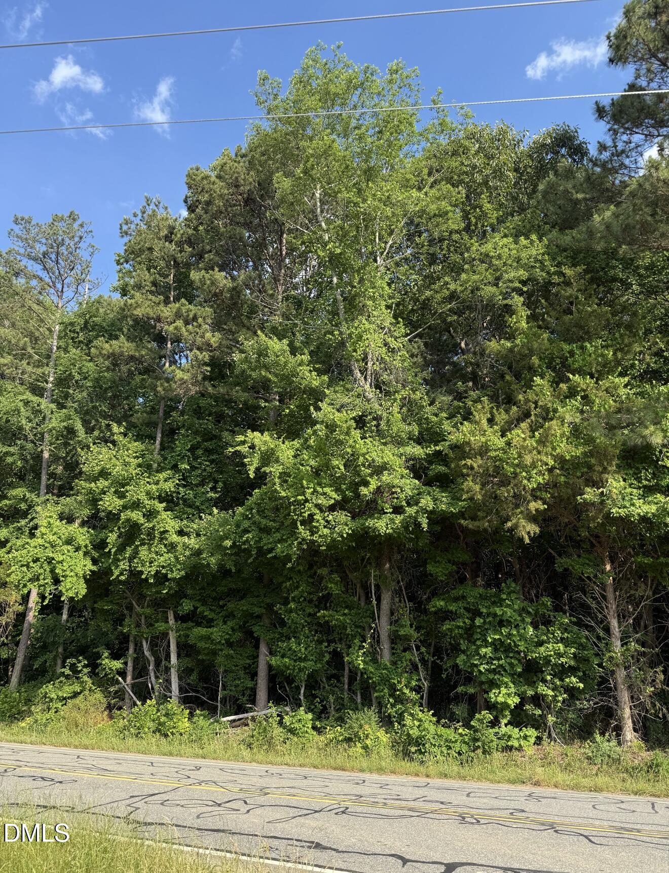 0 Jessie Bridges Road Siler City, NC 27344 - Photo 3 of 3 a view of a yard