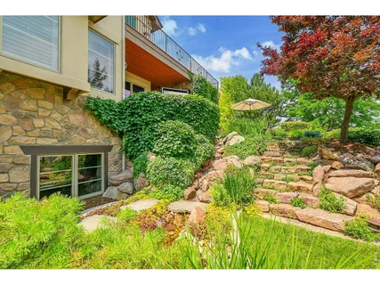 a view of a backyard with potted plants
