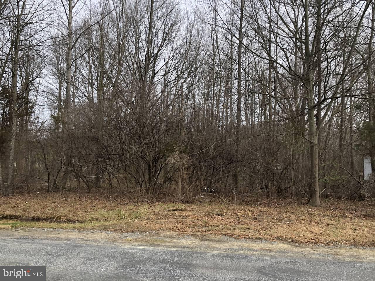 754-755 Watonga Road Chestertown, MD 21620 - Photo 15 of 26