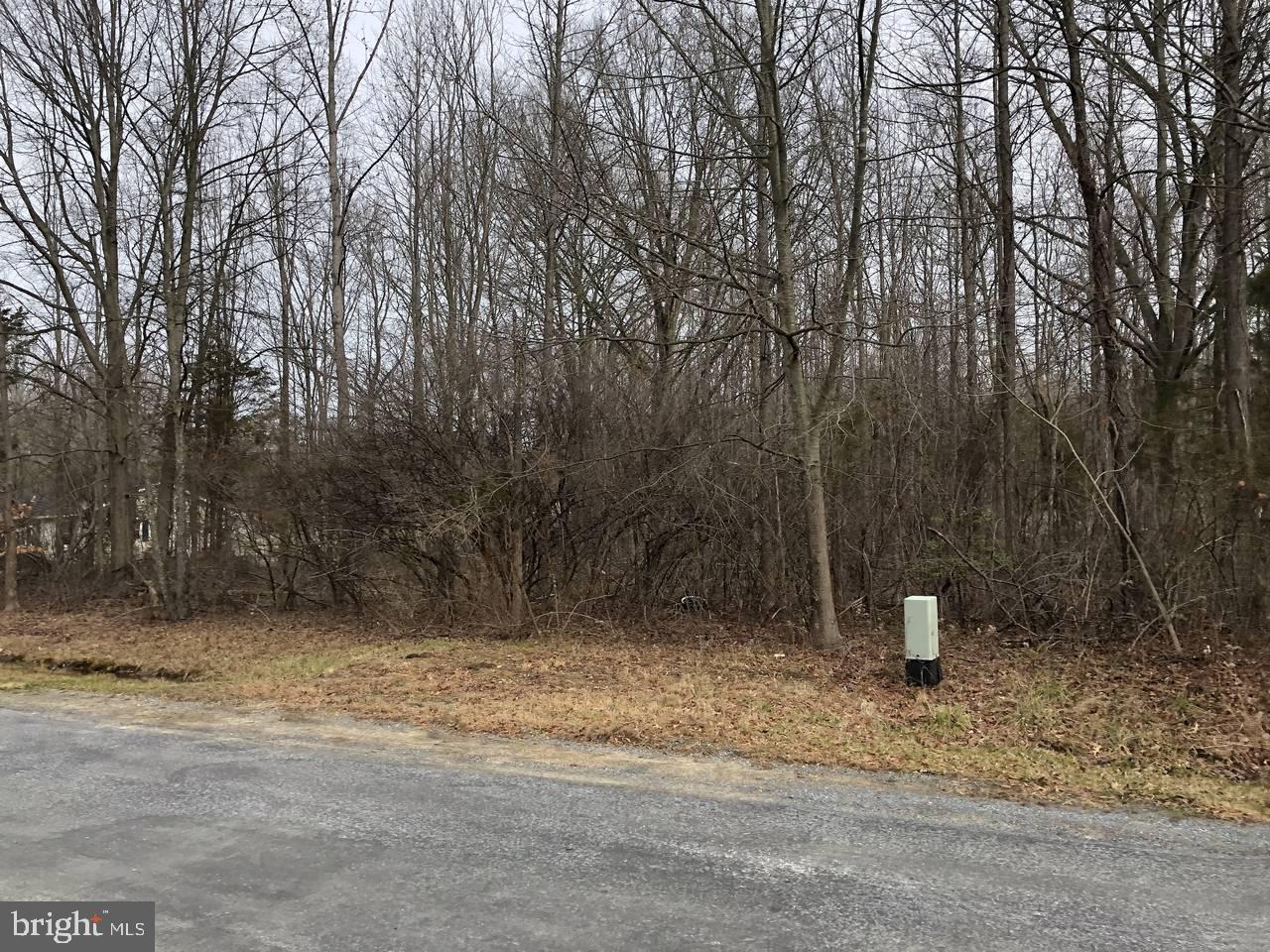 754-755 Watonga Road Chestertown, MD 21620 - Photo 21 of 26