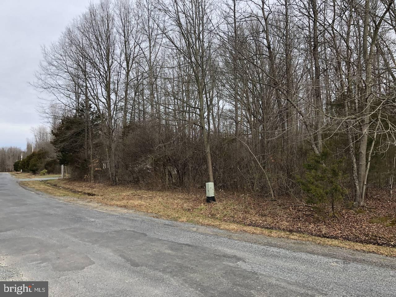 754-755 Watonga Road Chestertown, MD 21620 - Photo 23 of 26