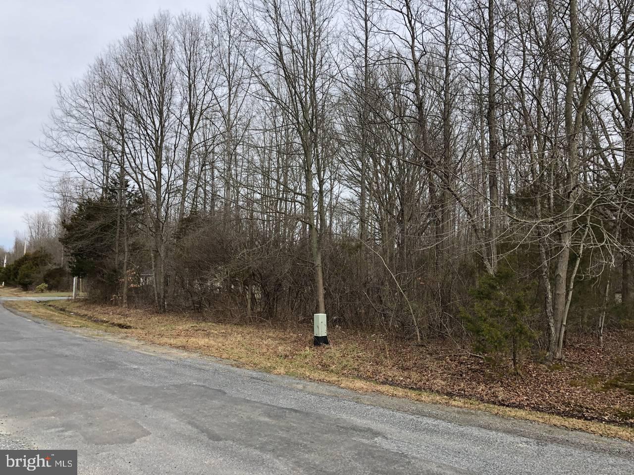 754-755 Watonga Road Chestertown, MD 21620 - Photo 26 of 26