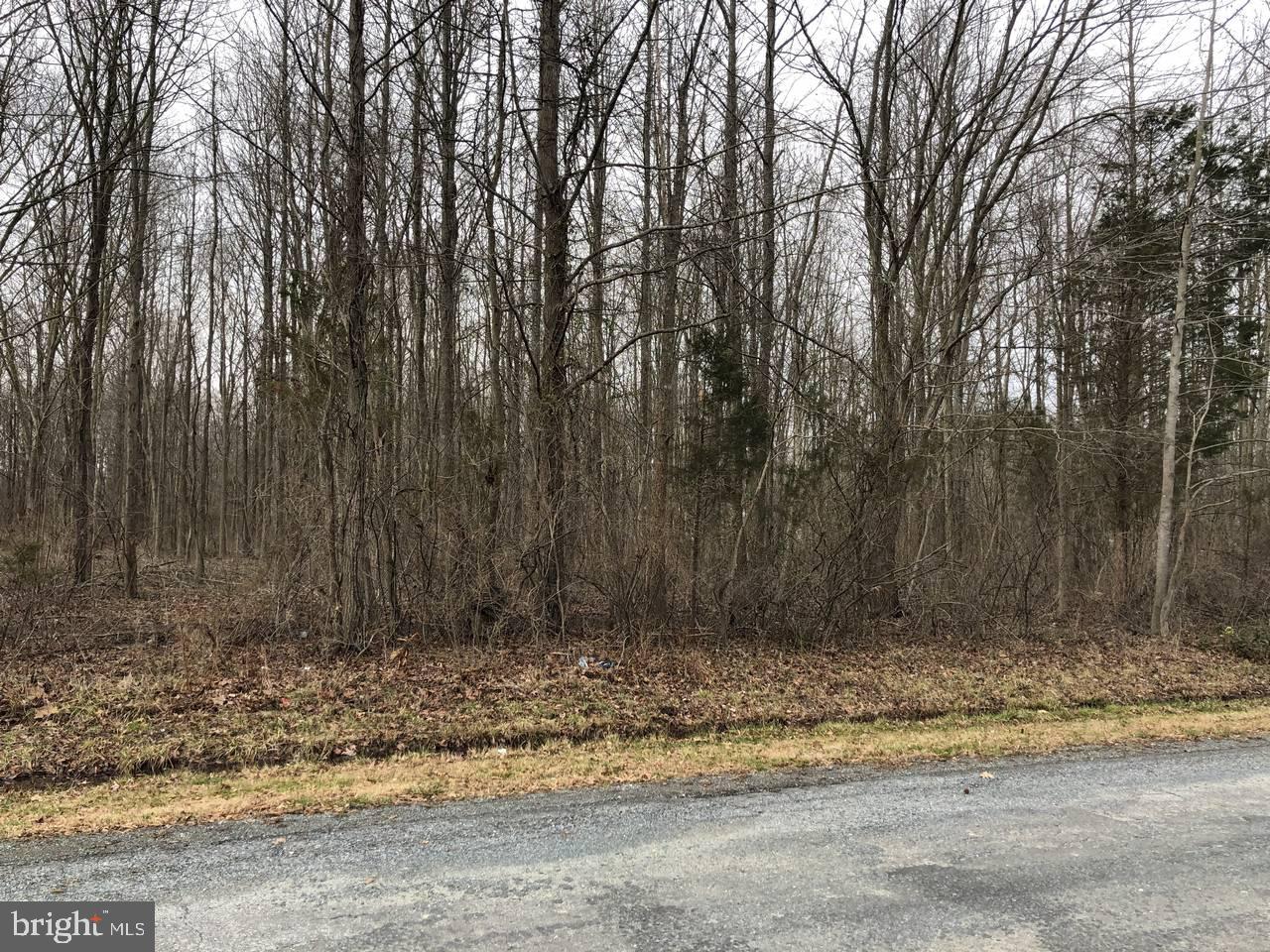 754-755 Watonga Road Chestertown, MD 21620 - Photo 10 of 26