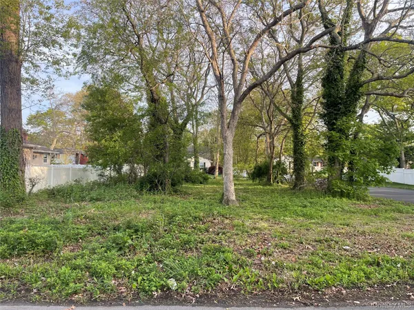 a view of a tree in a yard