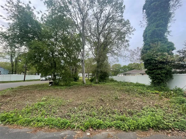 a view of a tree in a yard