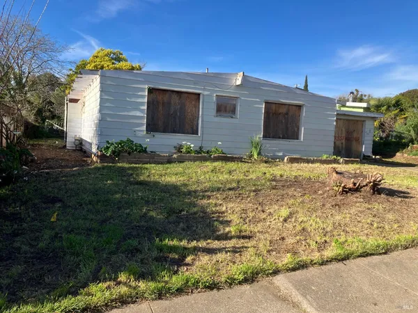 a backyard of a house with garden and garage