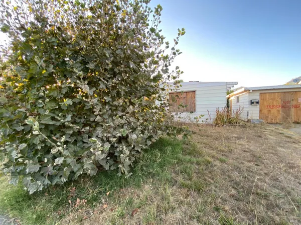 a view of a house with a tree