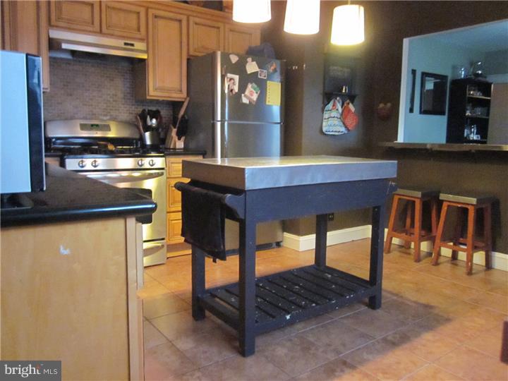 460 Shurs Lane Philadelphia, PA 19128 - Photo 1 of 22
