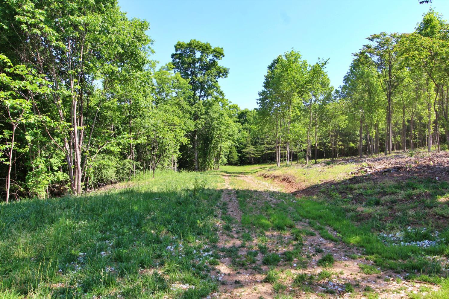0 Tower Hill Road Appomattox, VA 24522 - Photo 10 of 11