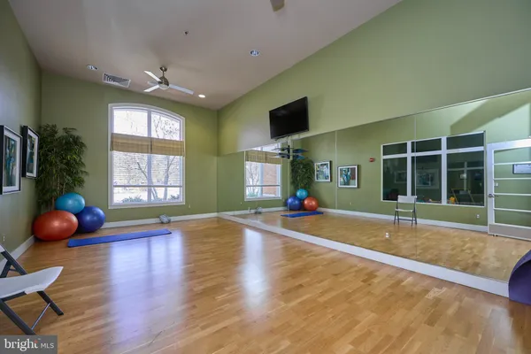 a view of a bench in the garden near a lake