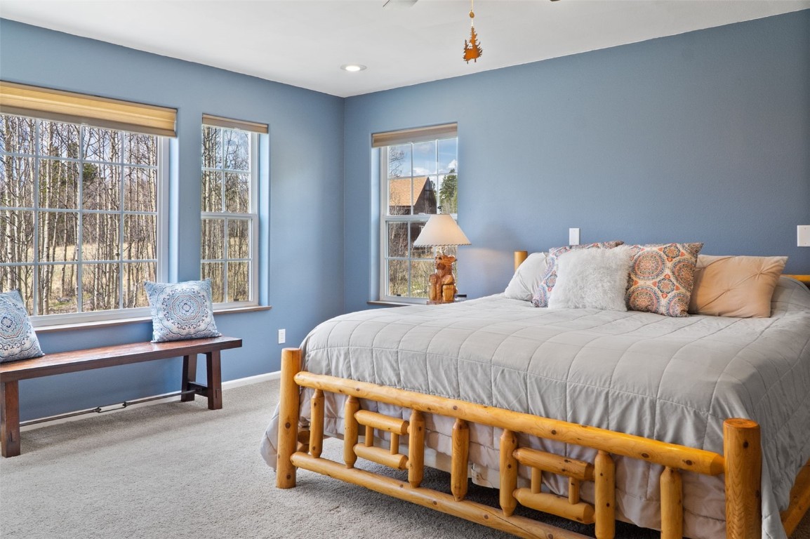 26 Vine Road Fairplay, CO 80440 - Photo 14 of 40 Gallery Image 14