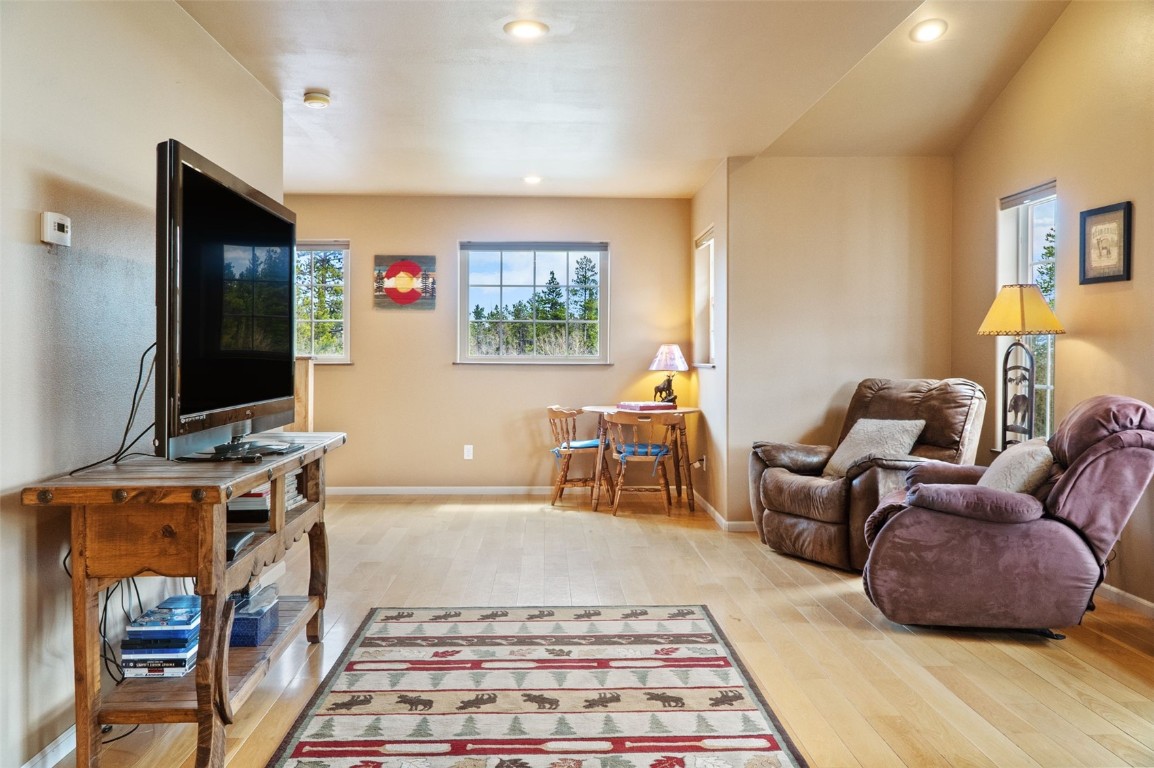 26 Vine Road Fairplay, CO 80440 - Photo 27 of 40 Gallery Image 27