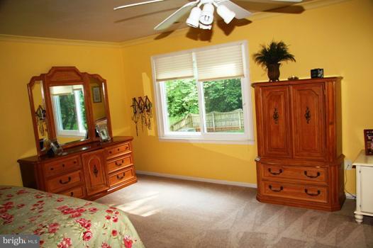 217 Environs Road Sterling, VA 20165 - Photo 13 of 30 Bedroom (Master)