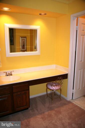 217 Environs Road Sterling, VA 20165 - Photo 18 of 30 Bath (Master)