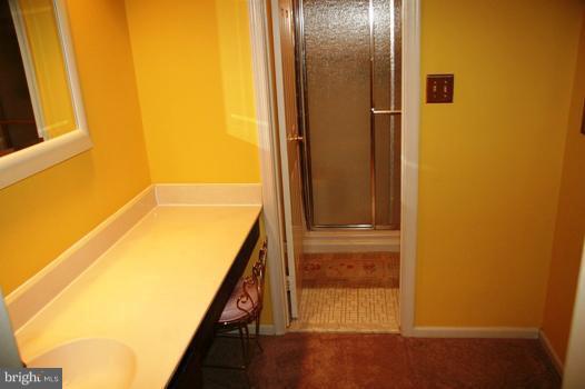 217 Environs Road Sterling, VA 20165 - Photo 29 of 30 Bath (Master)