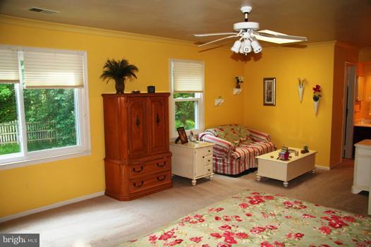 217 Environs Road Sterling, VA 20165 - Photo 10 of 30 Bedroom (Master)