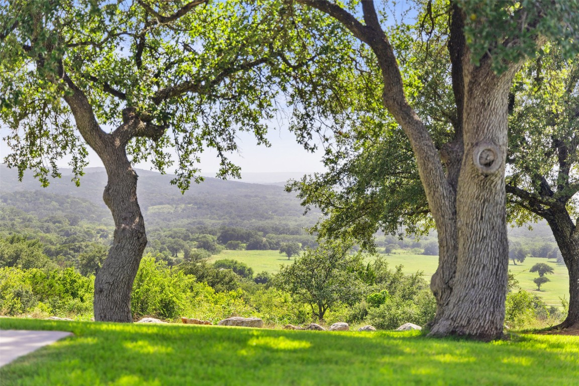 a backyard of a house with lots of green space