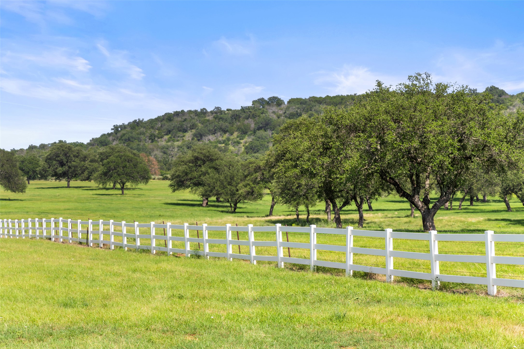 4529 Ranch Road 3347 Round Mountain, TX 78663 - Photo 23 of 36 a view of a house with a big yard