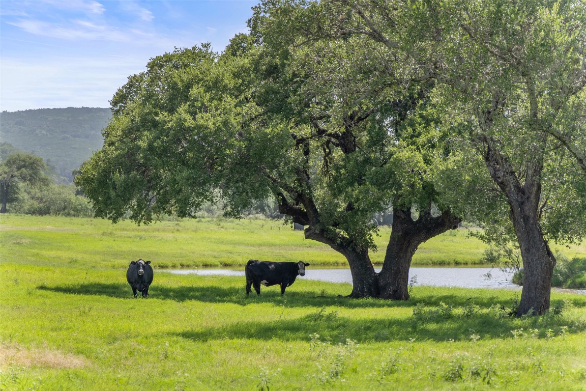 4529 Ranch Road 3347 Round Mountain, TX 78663 - Photo 26 of 36