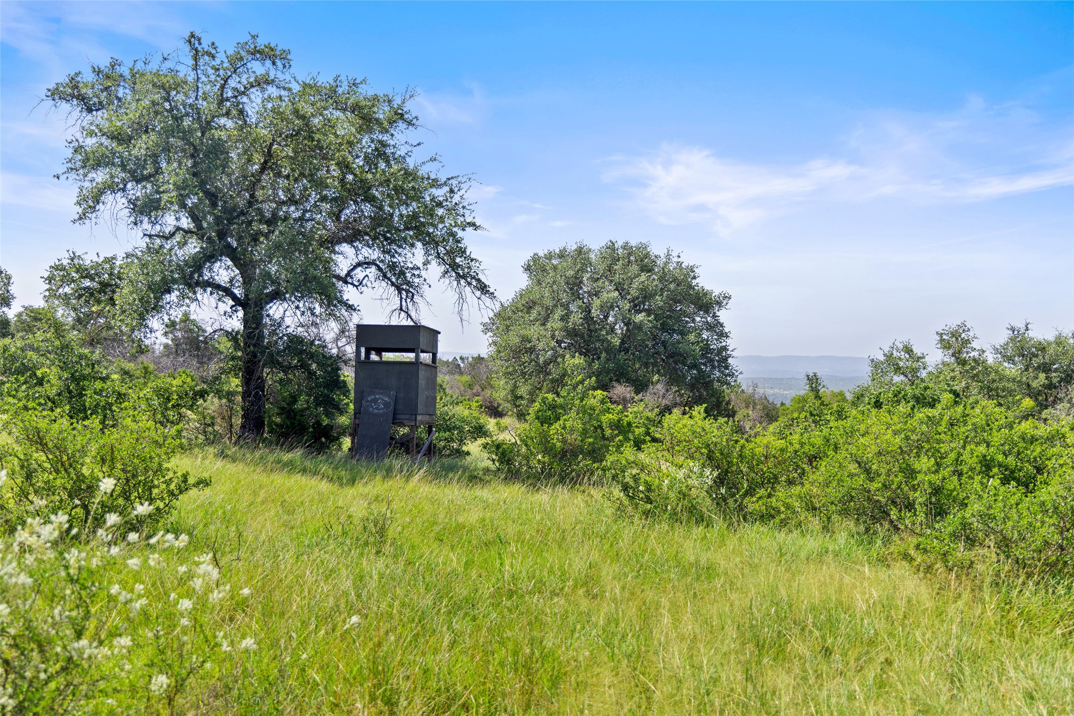 4529 Ranch Road 3347 Round Mountain, TX 78663 - Photo 35 of 36 a view of a garden with a tree