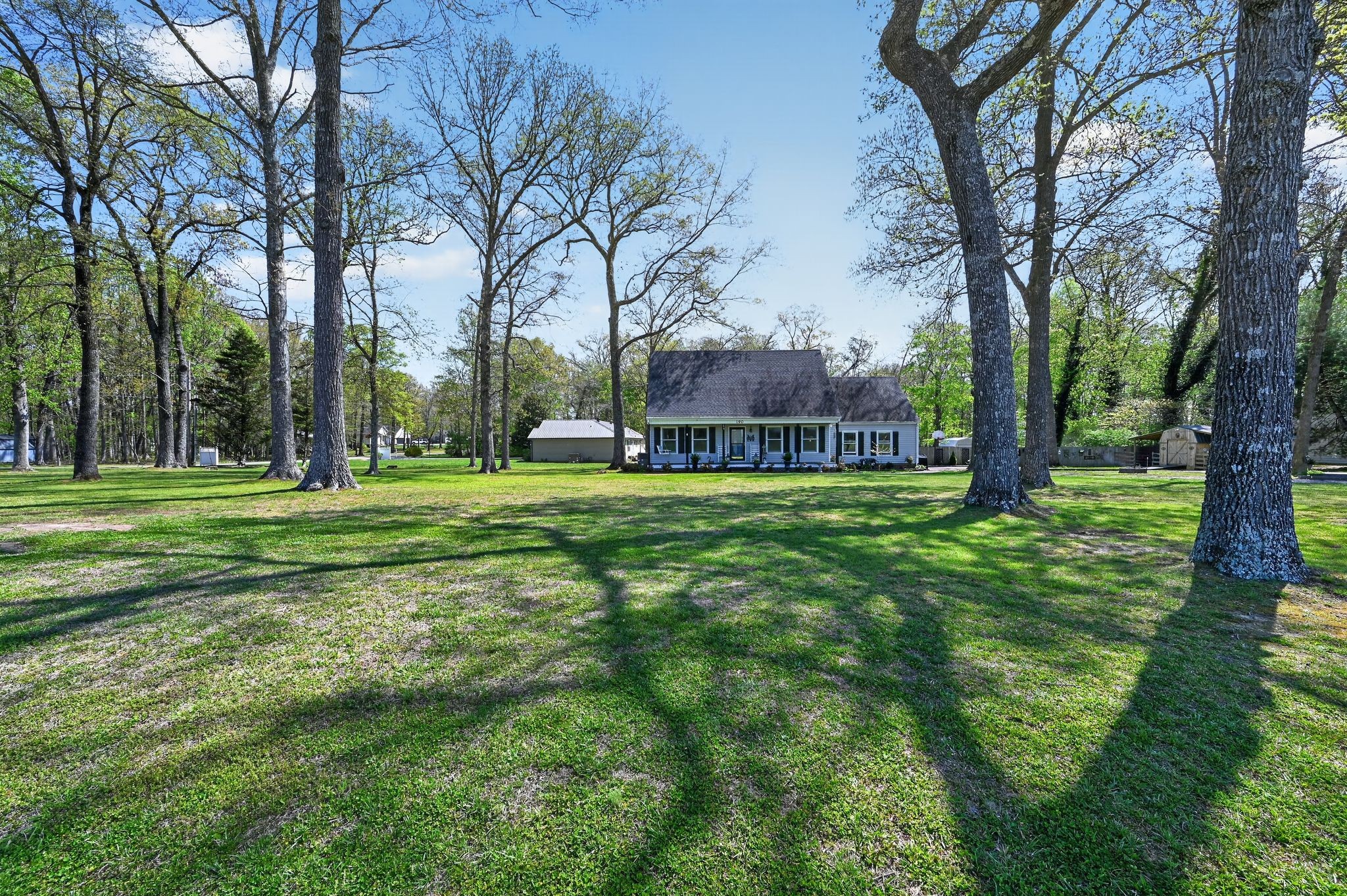 190 Hooper Road Smithville, TN 37166 - Photo 28 of 32 a view of a park with large trees