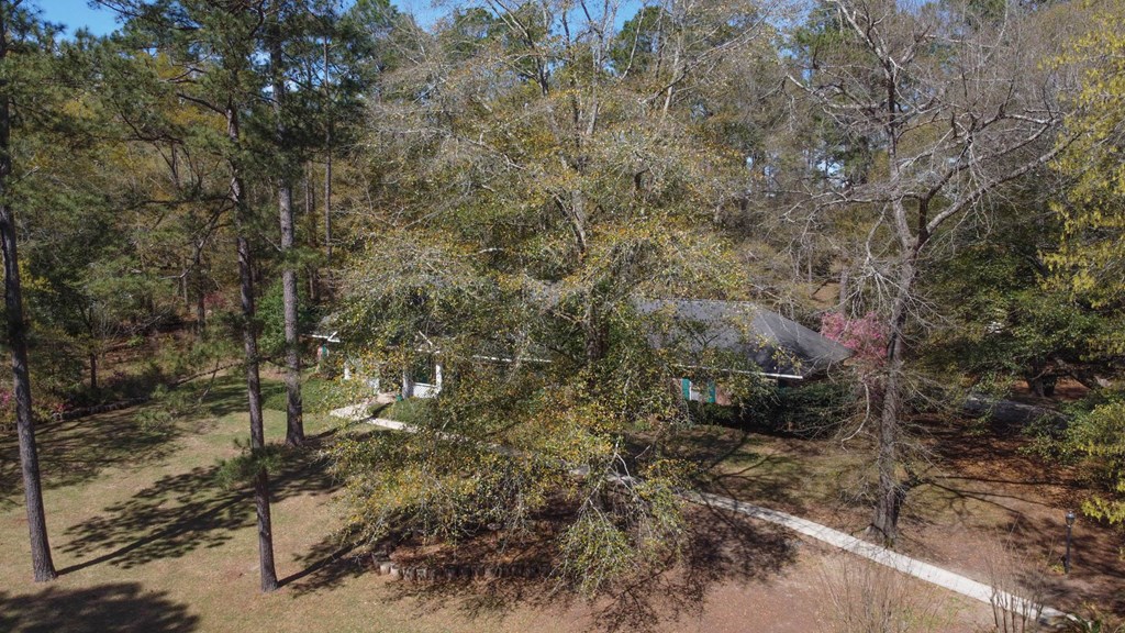 287 Sunny View Road Lumpkin, GA 31815 - Photo 46 of 54 Gallery Image 46