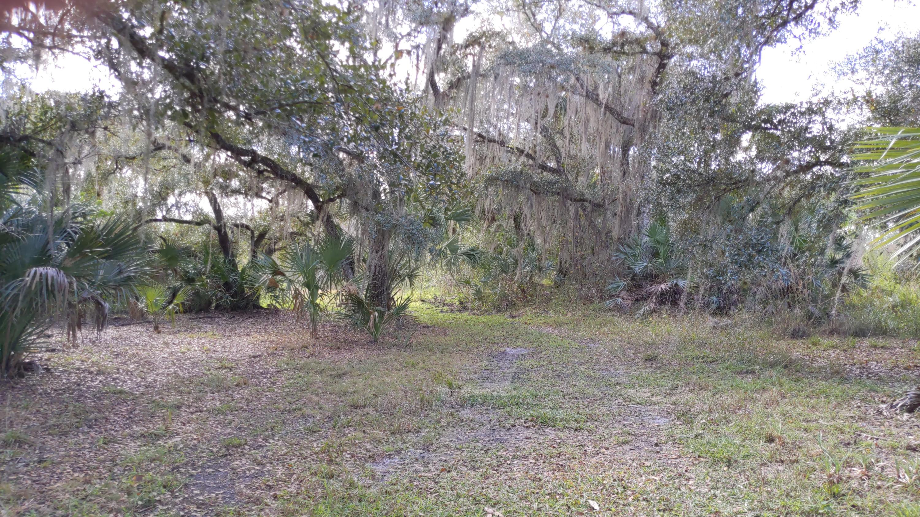 7851 Southwest Fox Brown Road Indiantown, FL 34956 - Photo 44 of 67 IMG_20210109_114219