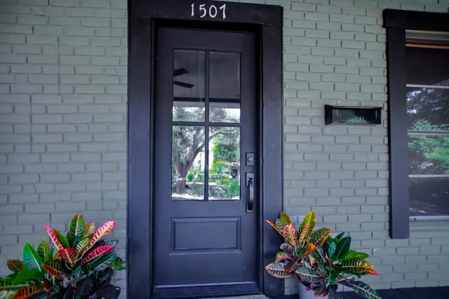 a potted plant sitting in front of a door