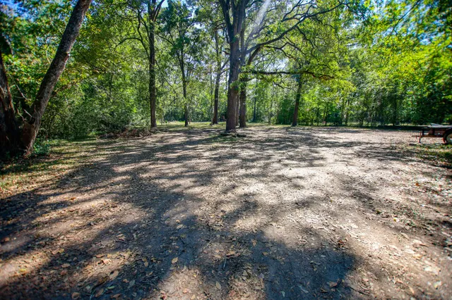 a view of outdoor space with deck and trees