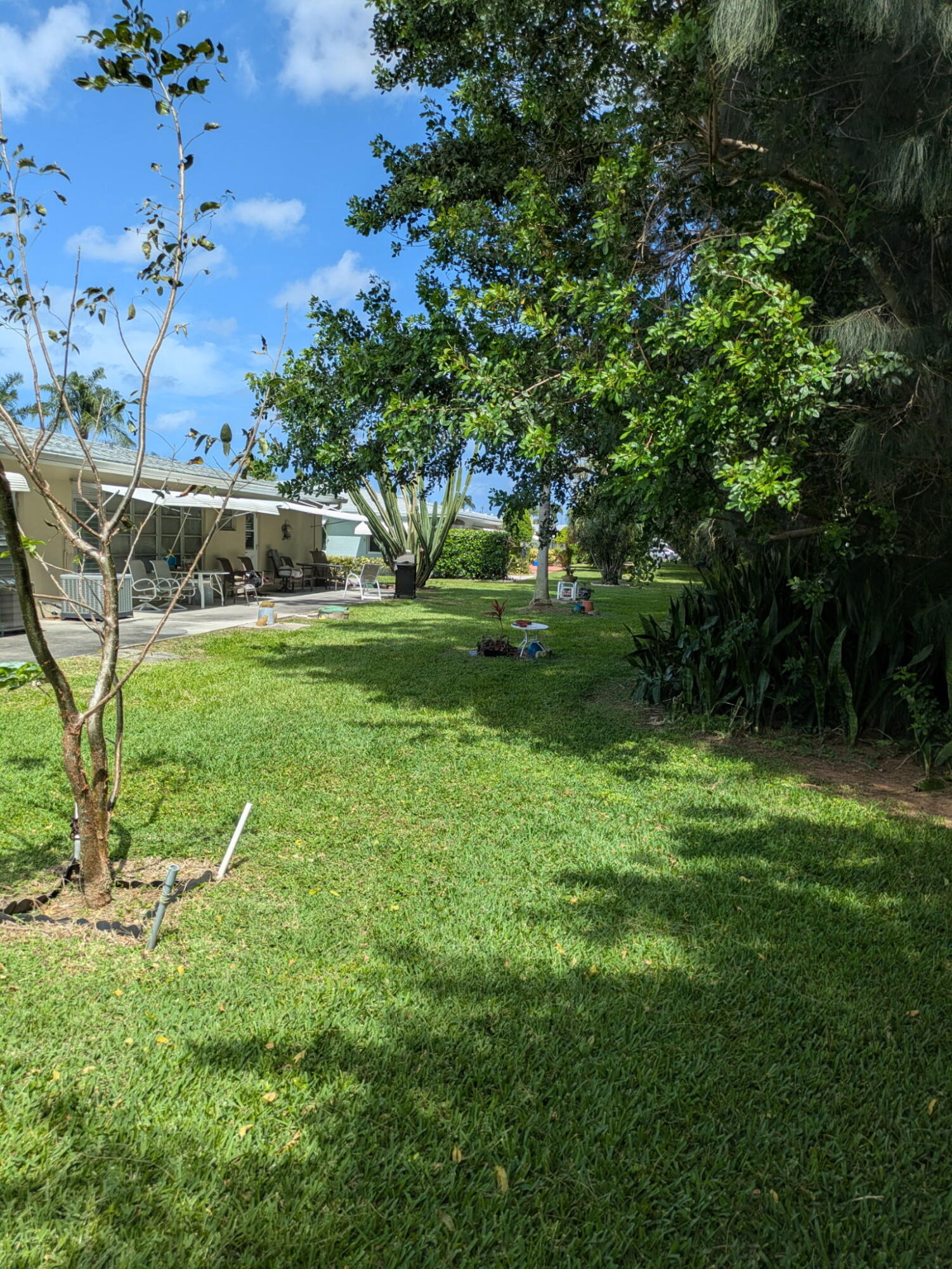 172 West High Point Terrace, Unit D Delray Beach, FL 33445 - Photo 6 of 31 Back Yard