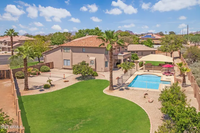 a living room with furniture potted plant and a rug