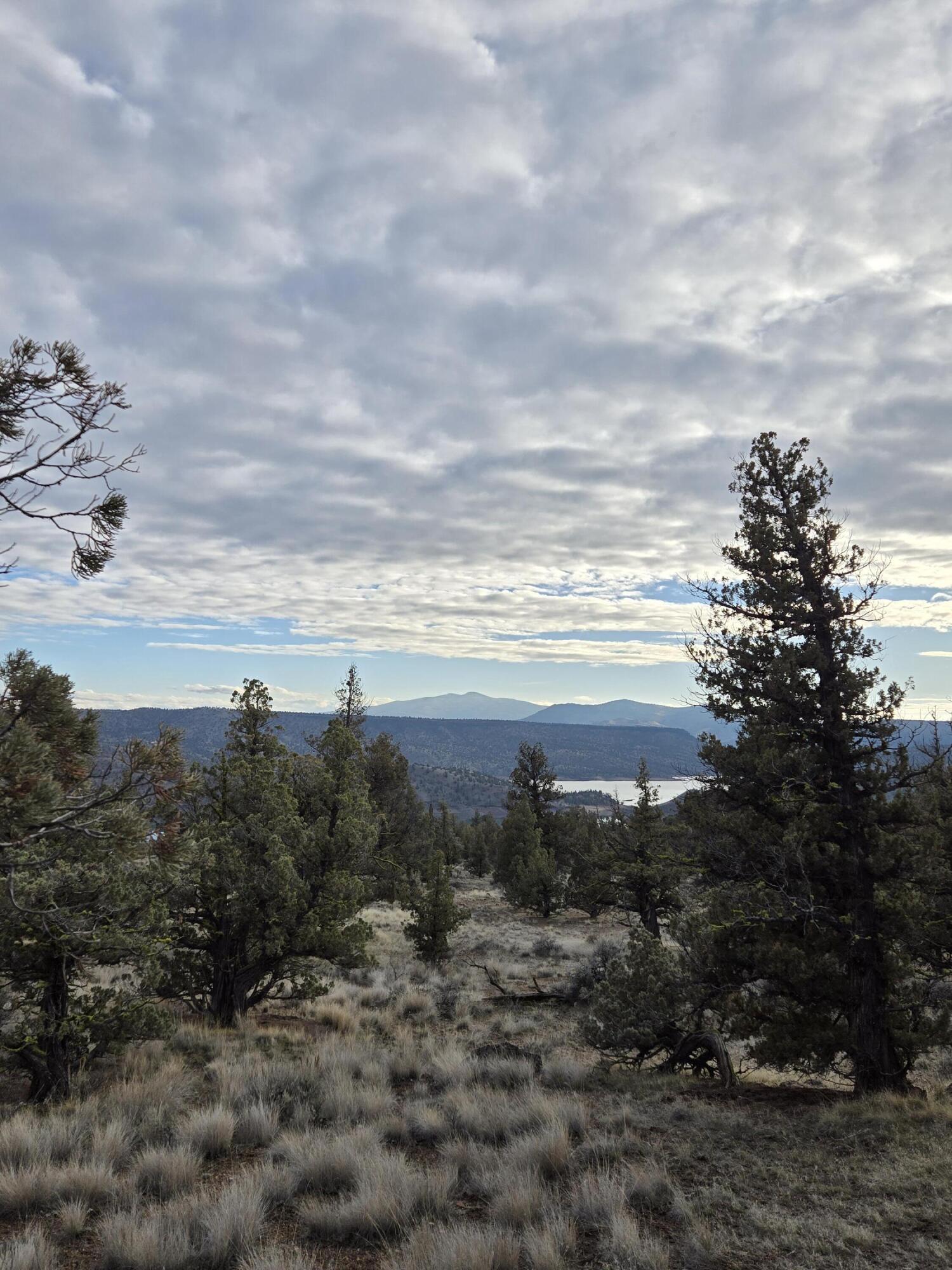 10098 Pavati Road, Unit LOT 36 Prineville, OR 97754 - Photo 1 of 13 20260211_160205