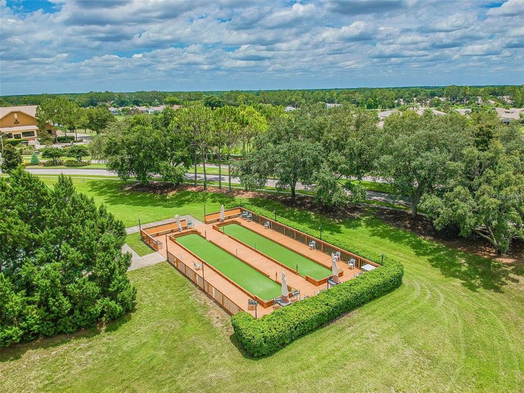 11228 Windrush Circle Hudson, FL 34667 - Photo 65 of 67 a view of a backyard with a garden and plants