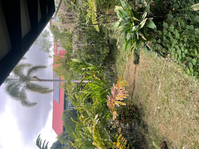 76-5924 Mamalahoa Highway Holualoa, HI 96725 - Photo 11 of 12