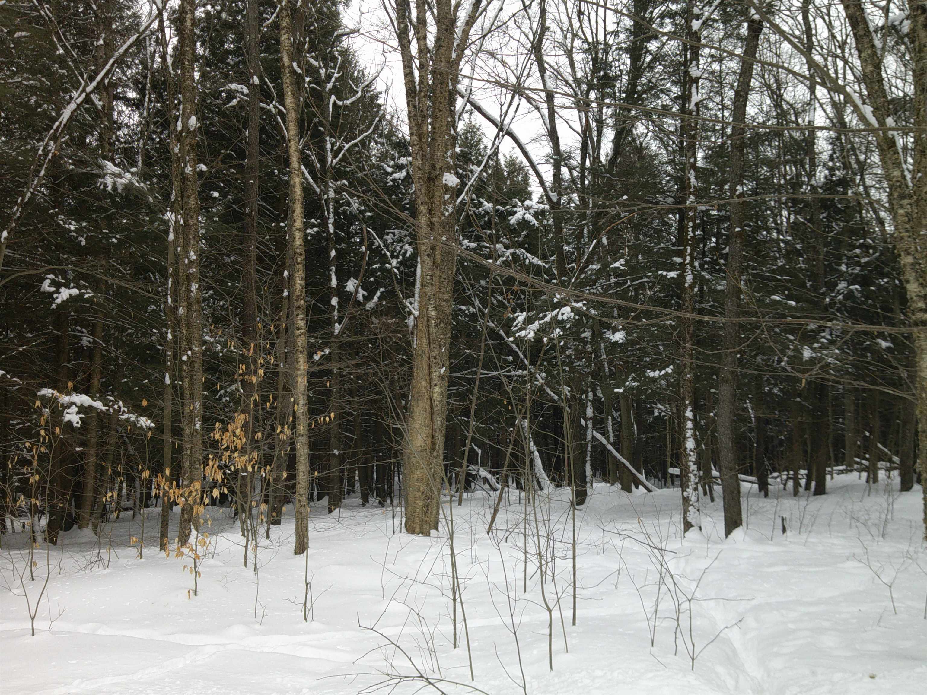 0 Plot Road, Unit 2 Johnson, VT 05656 - Photo 6 of 29