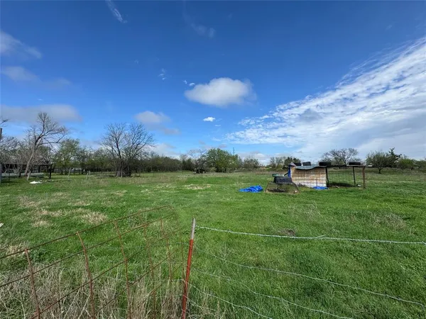 a view of a big yard with a large tree