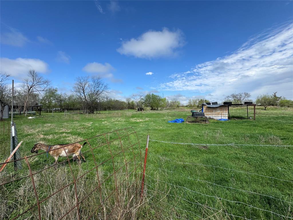 733 Foster Street Marlin, TX 76661 - Photo 40 of 40 a view of a garden with a big yard