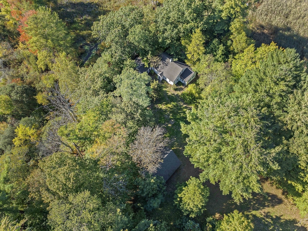 a view of a house with a tree