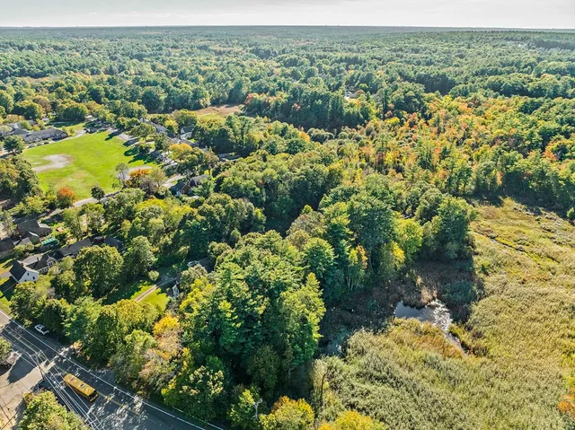 a view of a garden with a tree