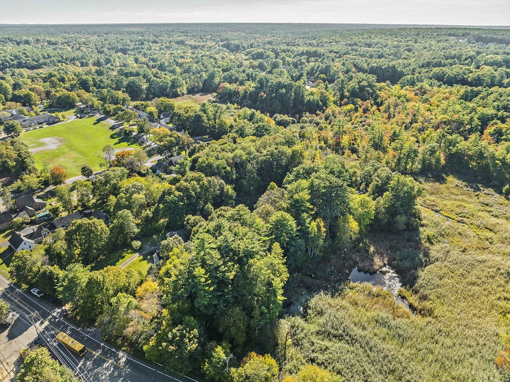 235 Main Street Marshfield, MA 02050 - Photo 13 of 15 a view of a garden with a tree